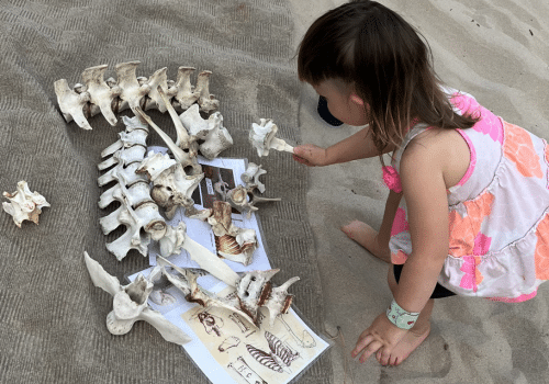 Paleontologists and Parents as Teachers