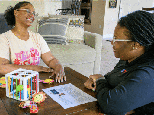 Foundational and Model Implementation Training
