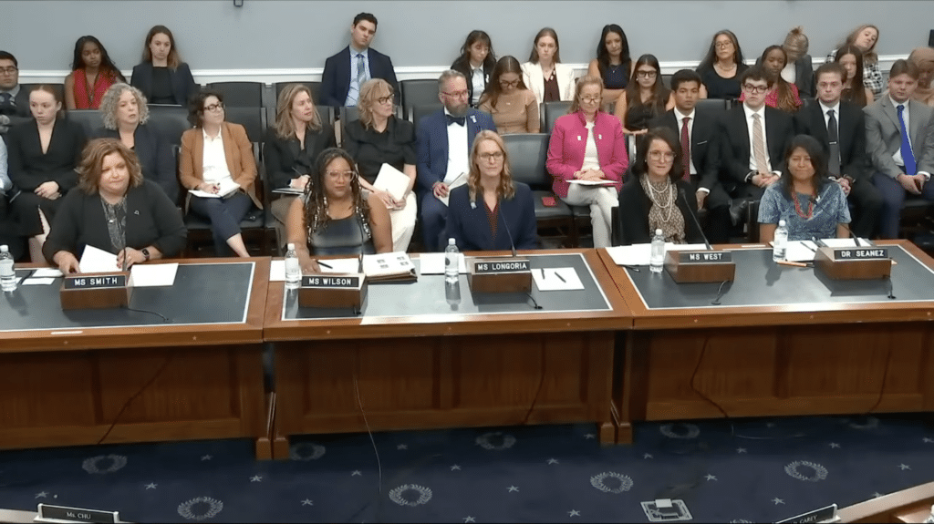 Panel of witnesses seated at a congressional hearing table with nameplates, microphones, and audience behind them